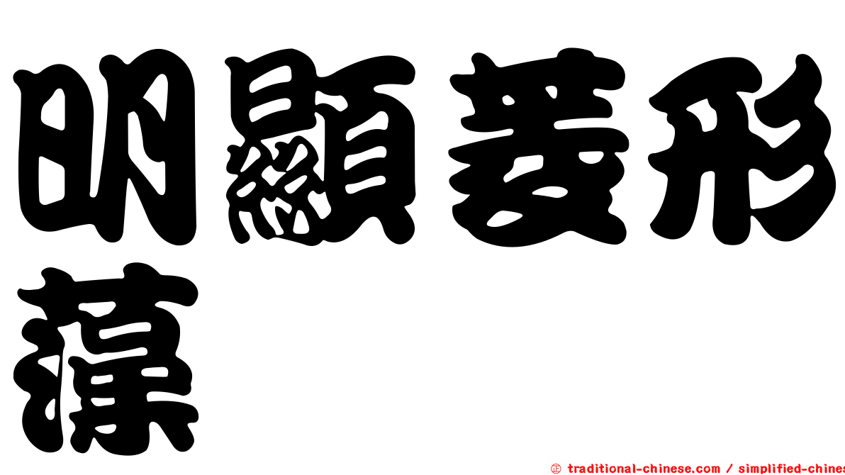 明顯菱形藻