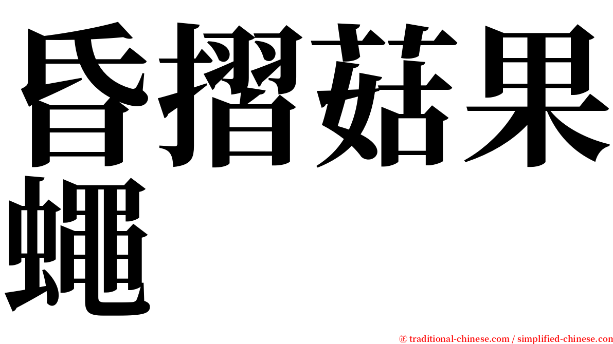 昏摺菇果蠅 serif font