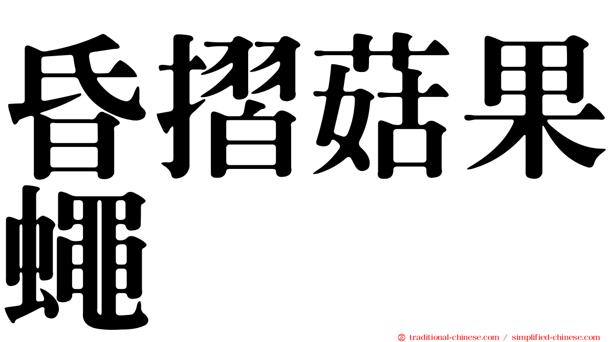 昏摺菇果蠅