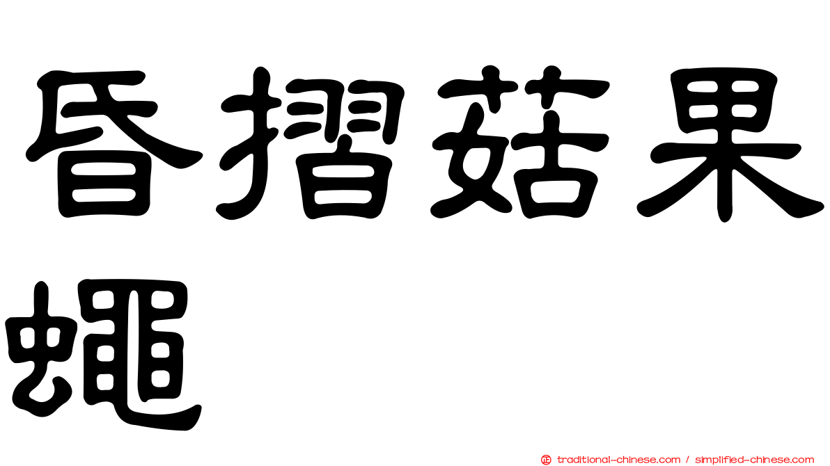 昏摺菇果蠅