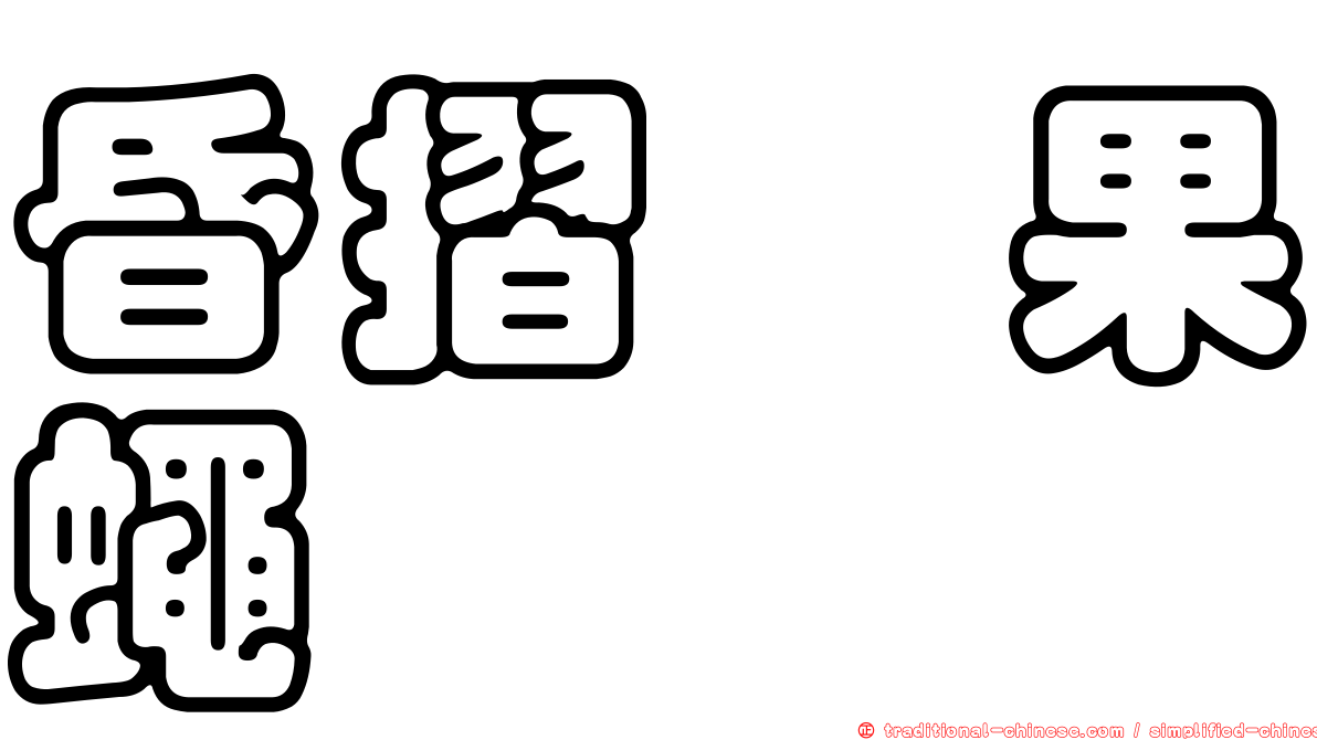 昏摺菇果蠅