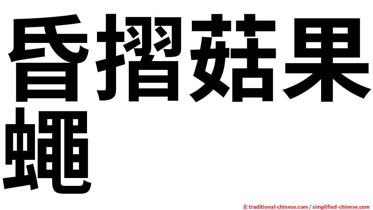 昏摺菇果蠅