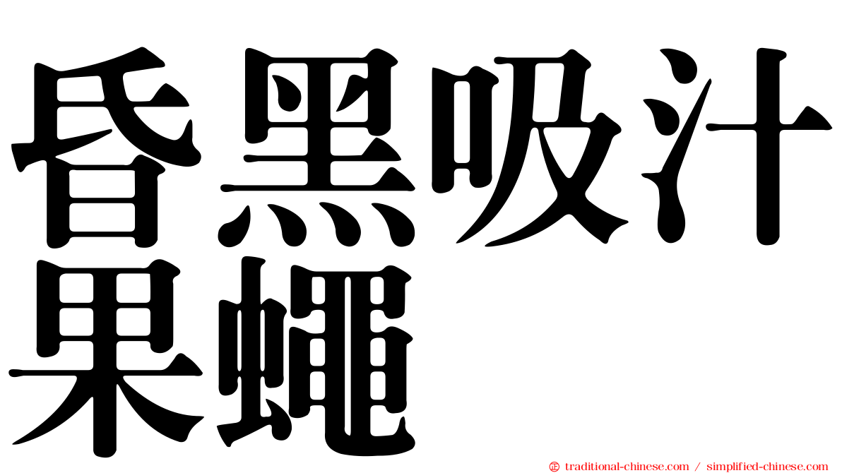 昏黑吸汁果蠅