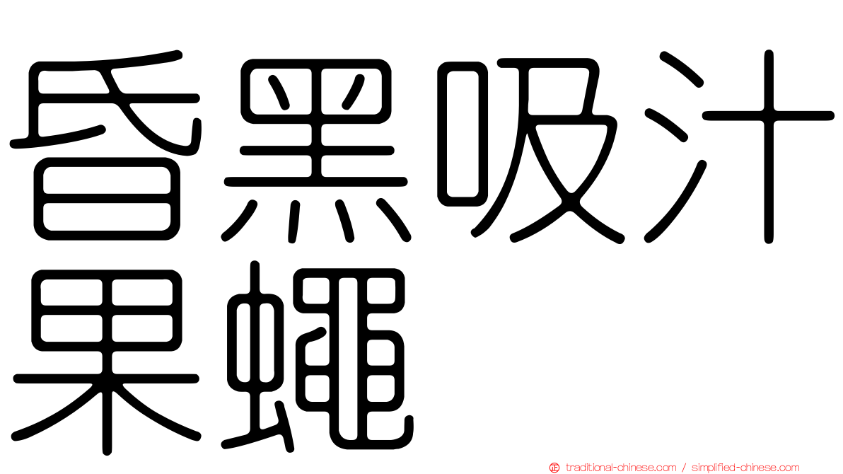 昏黑吸汁果蠅