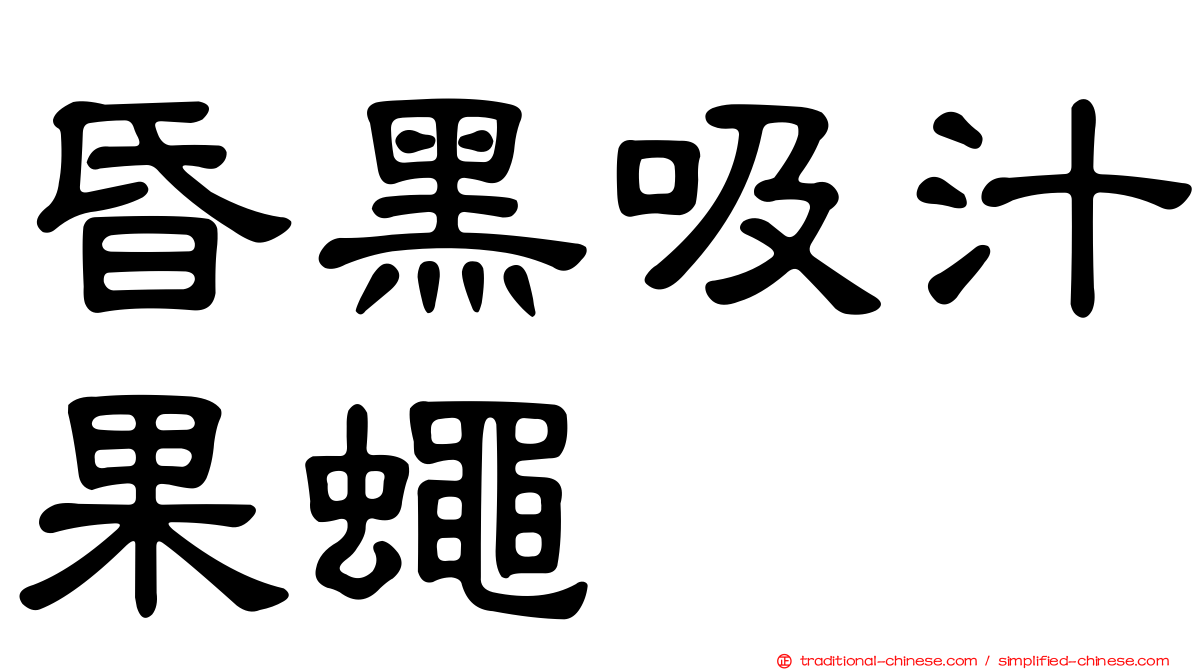 昏黑吸汁果蠅
