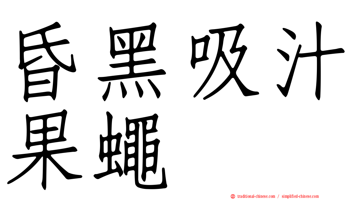 昏黑吸汁果蠅