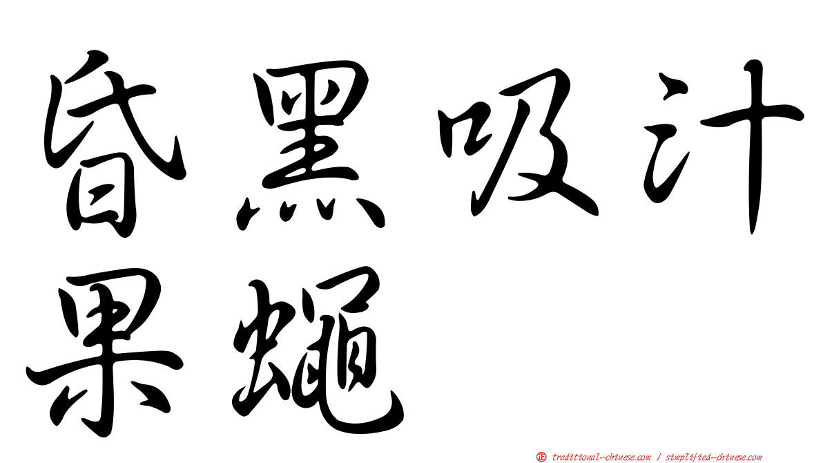 昏黑吸汁果蠅