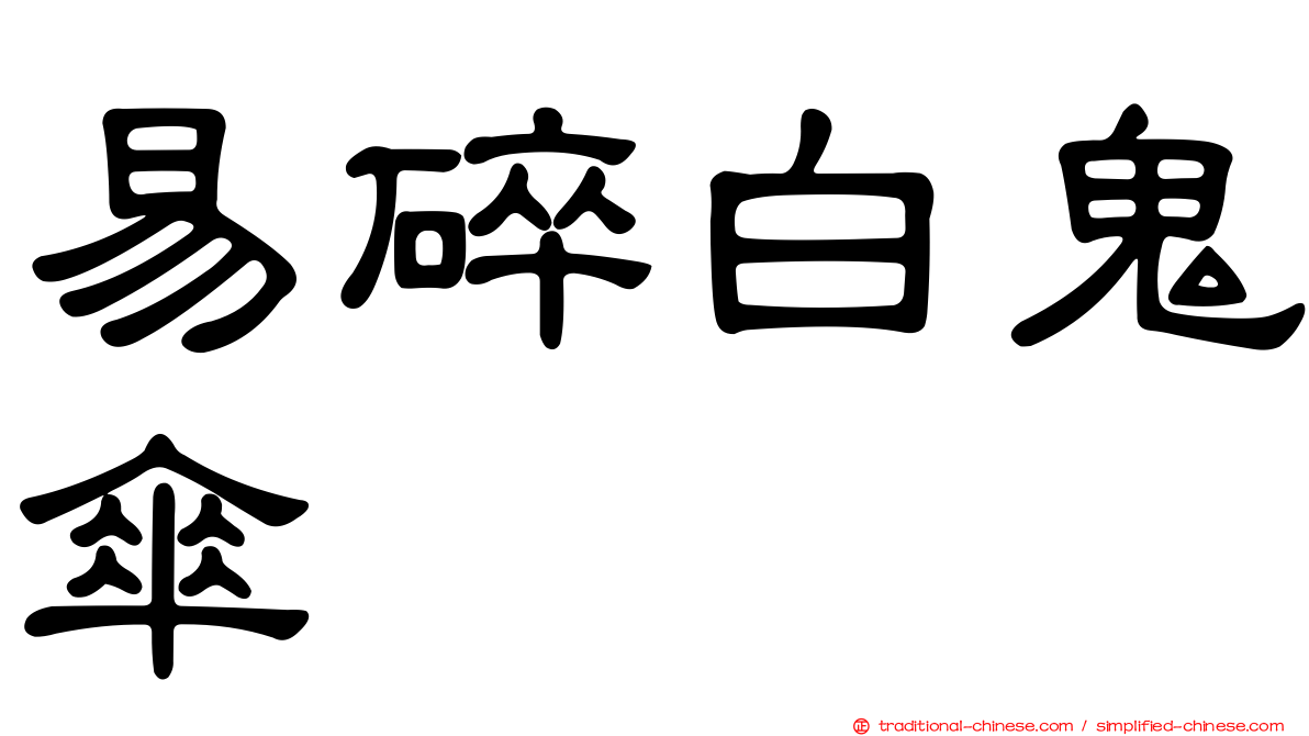 易碎白鬼傘