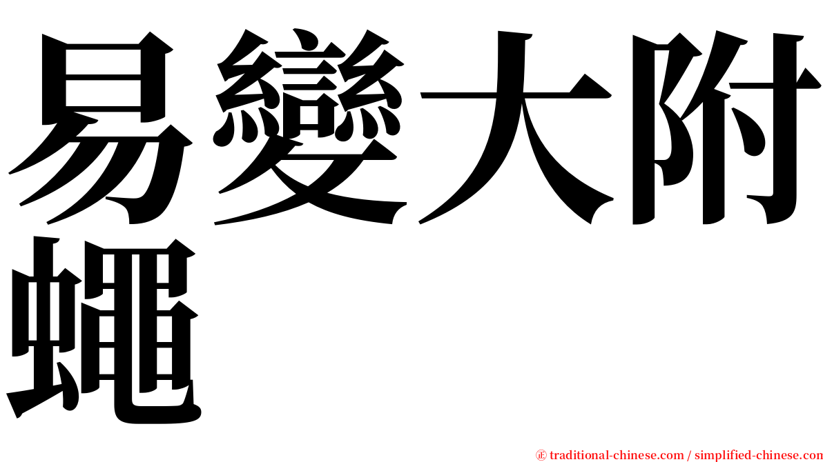 易變大附蠅 serif font