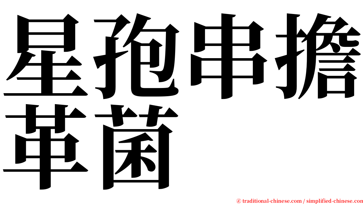 星孢串擔革菌 serif font