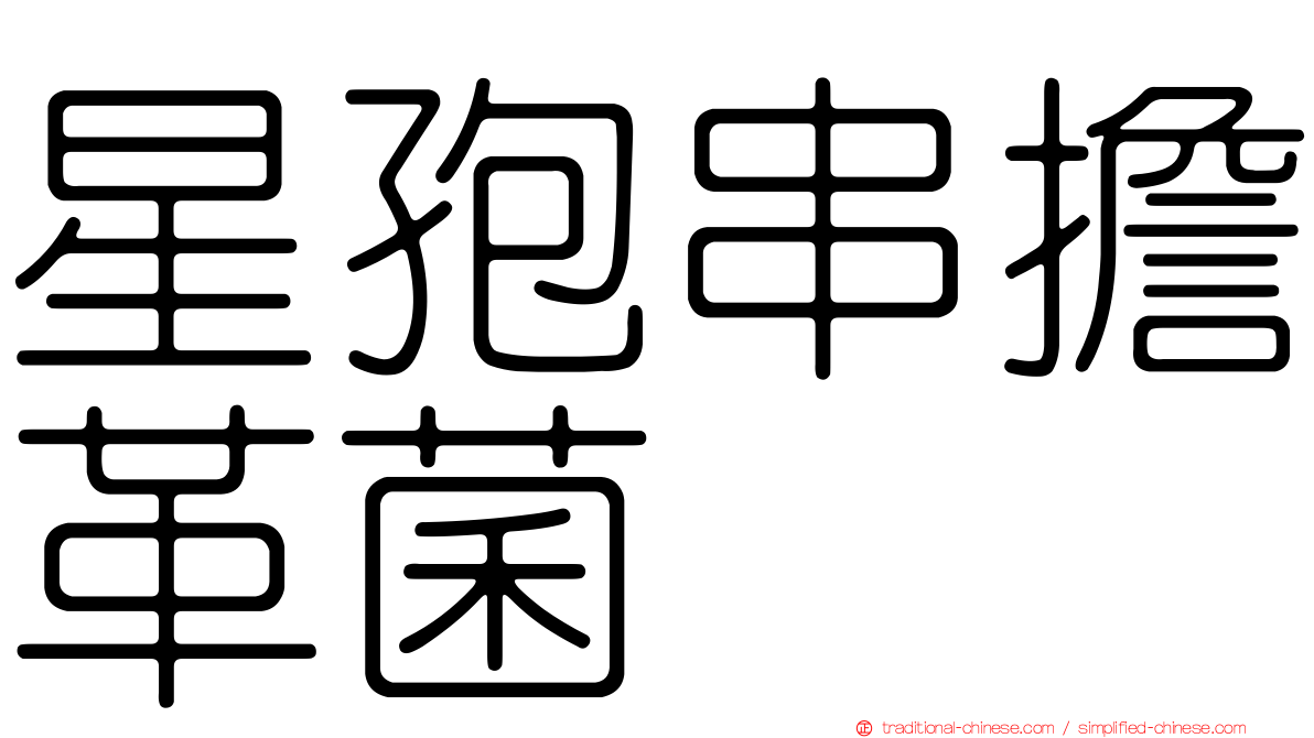 星孢串擔革菌
