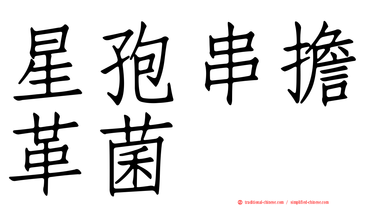 星孢串擔革菌