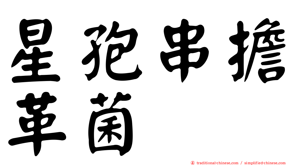 星孢串擔革菌