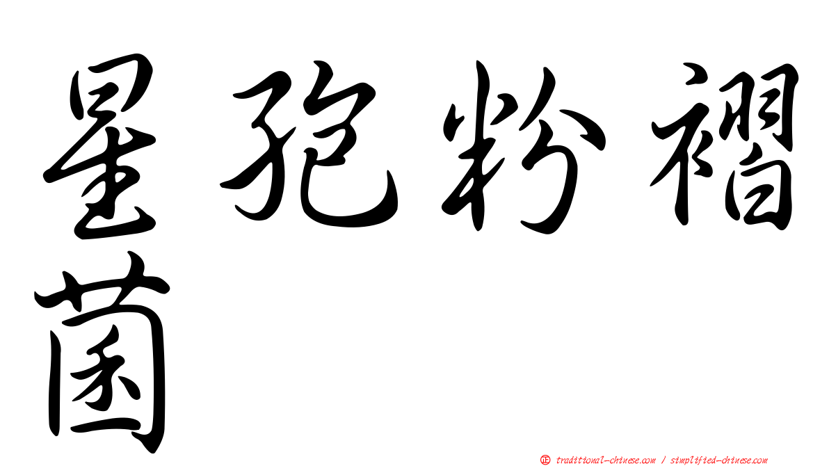 星孢粉褶菌