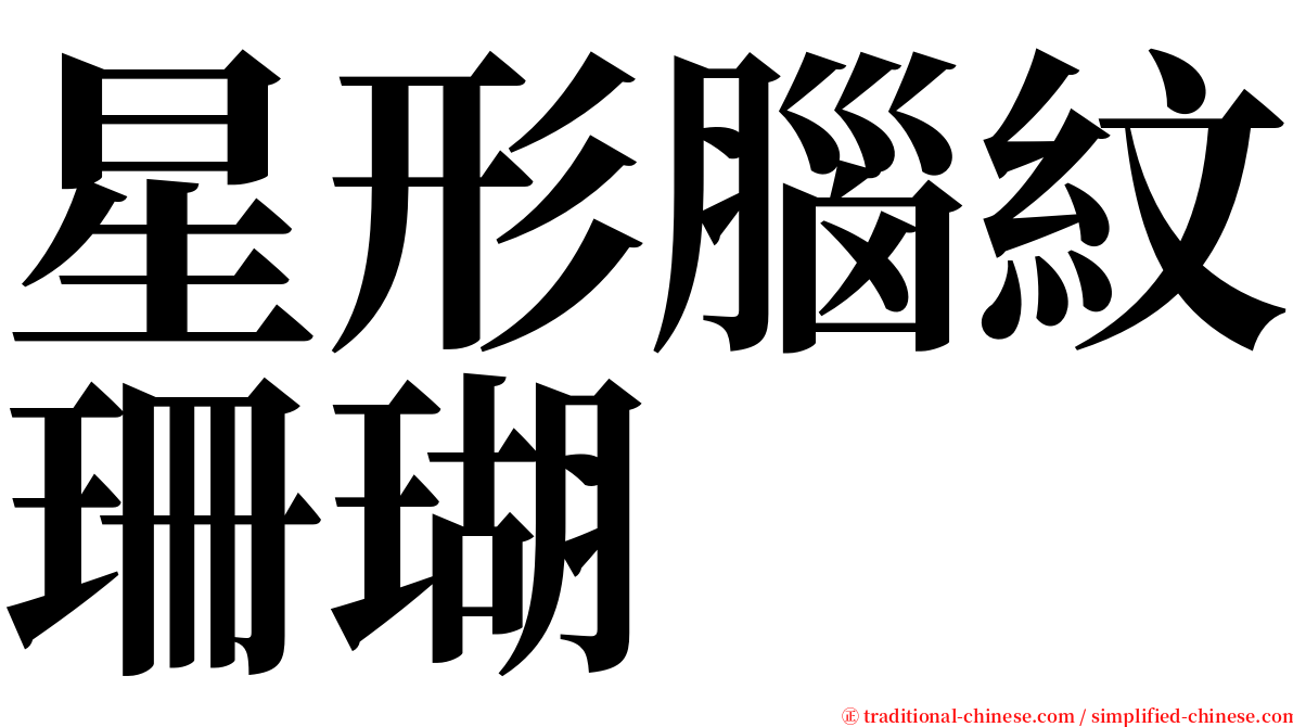 星形腦紋珊瑚 serif font