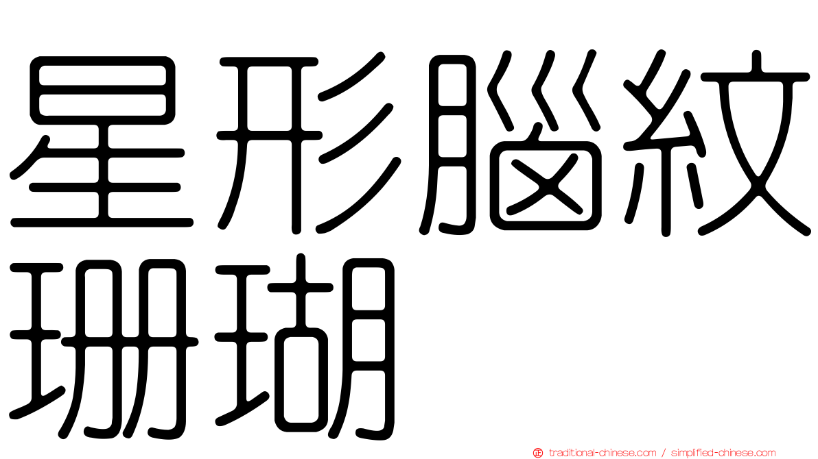 星形腦紋珊瑚