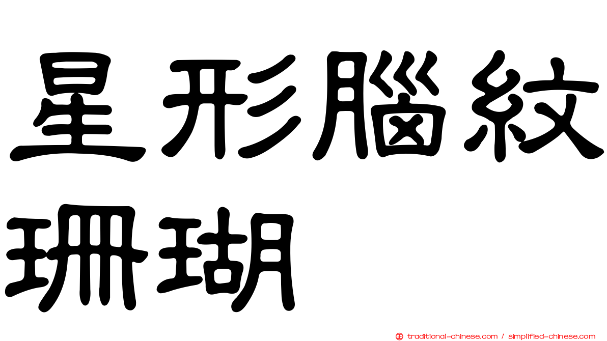 星形腦紋珊瑚