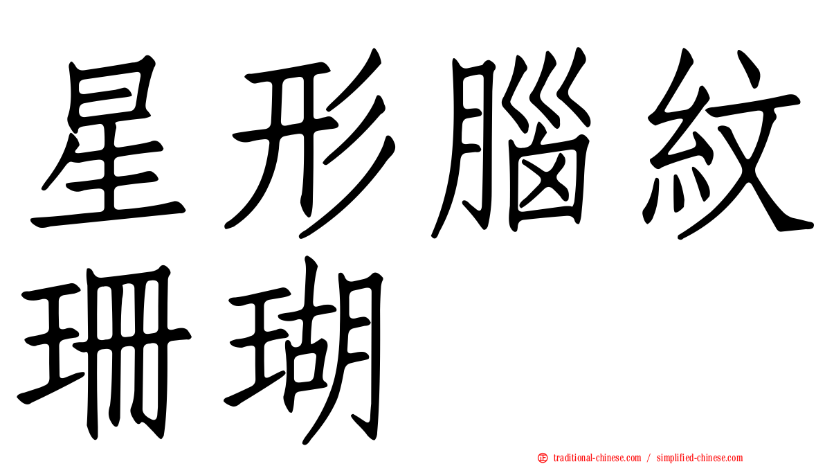 星形腦紋珊瑚