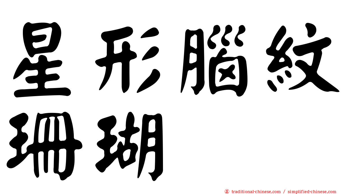 星形腦紋珊瑚