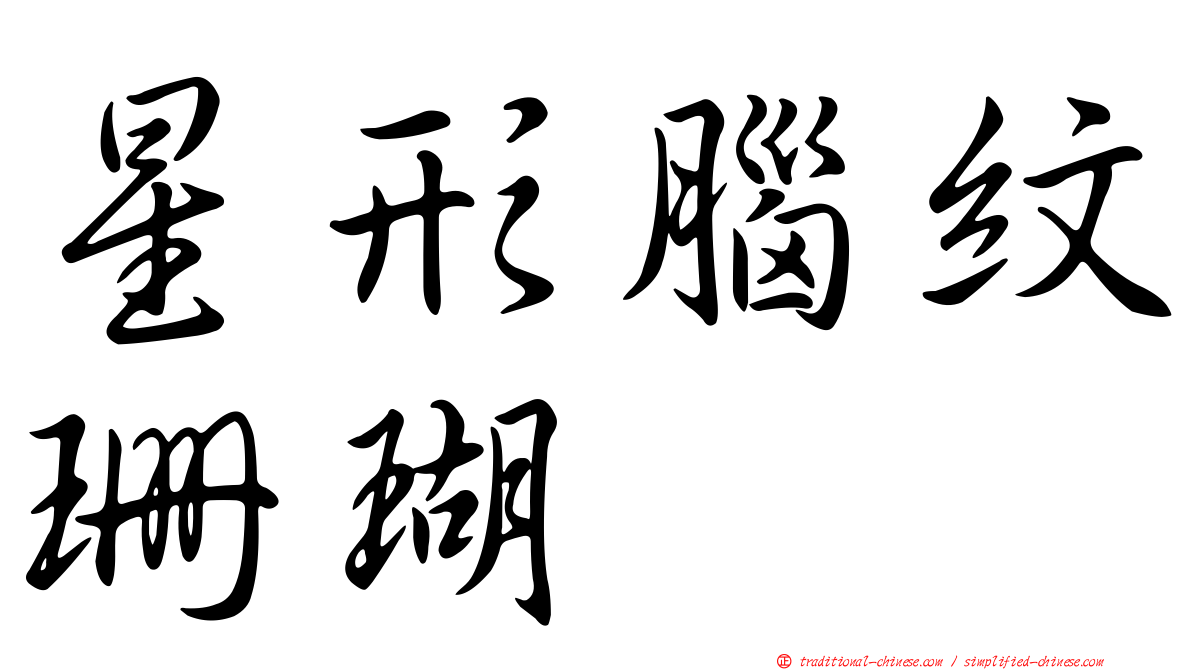 星形腦紋珊瑚