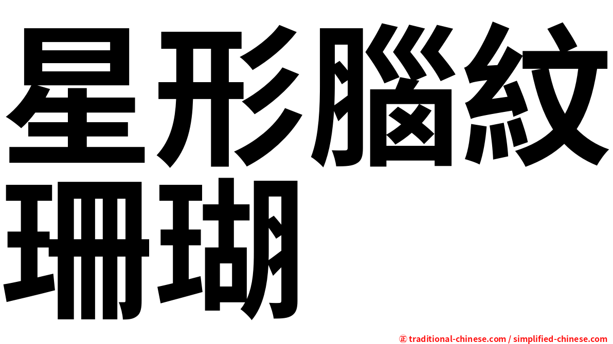 星形腦紋珊瑚