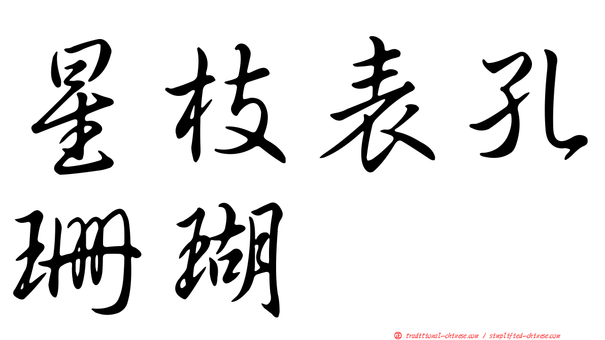 星枝表孔珊瑚