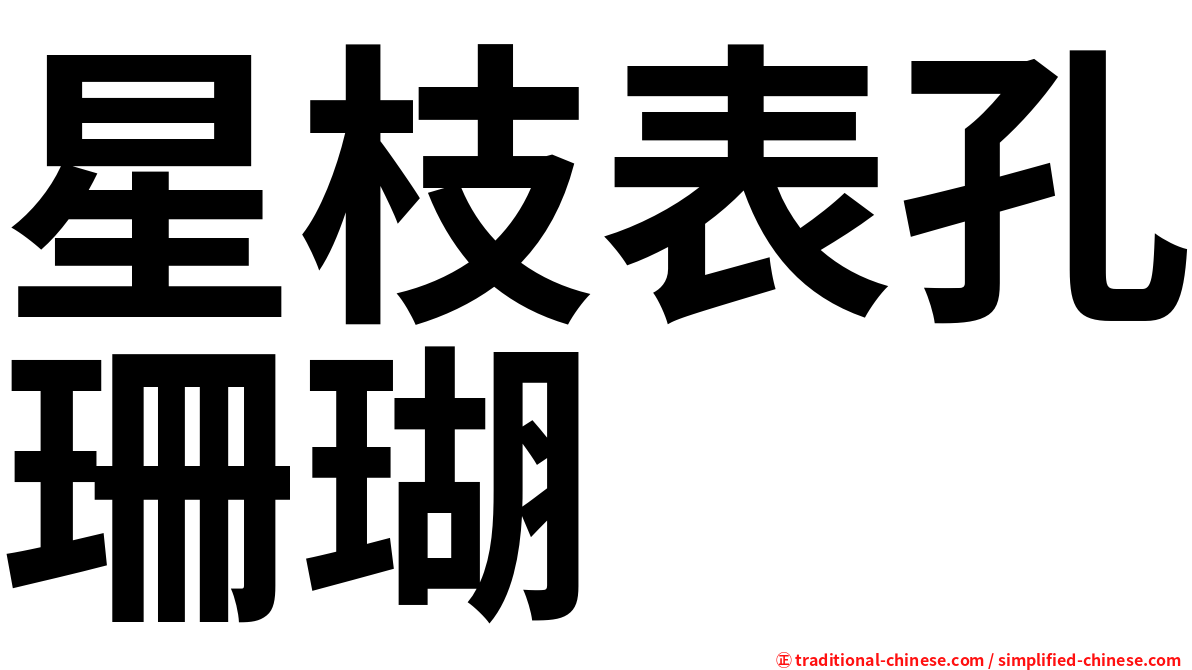 星枝表孔珊瑚
