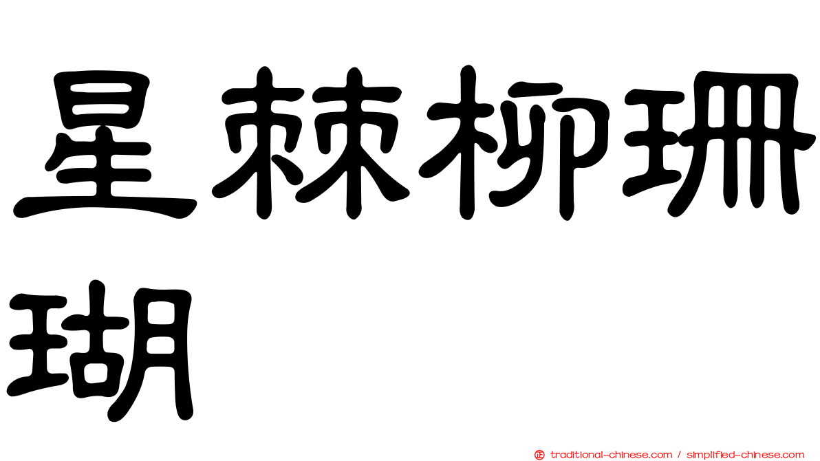 星棘柳珊瑚