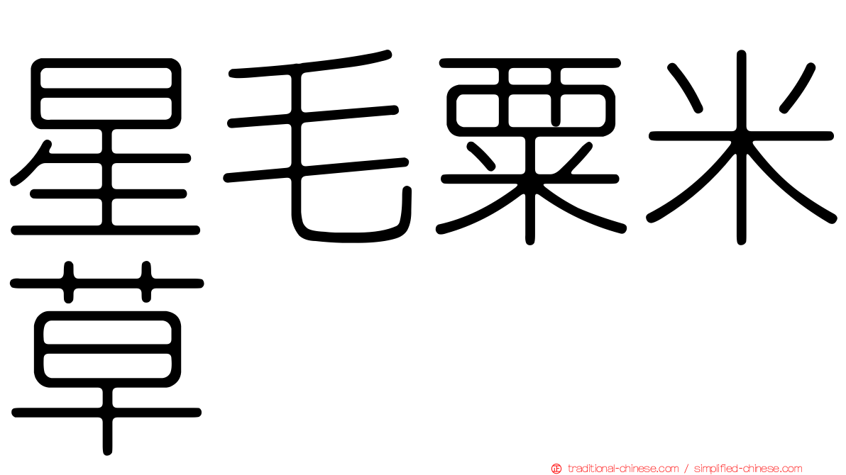 星毛粟米草
