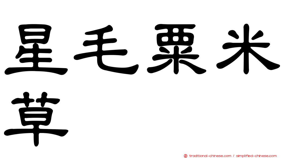 星毛粟米草
