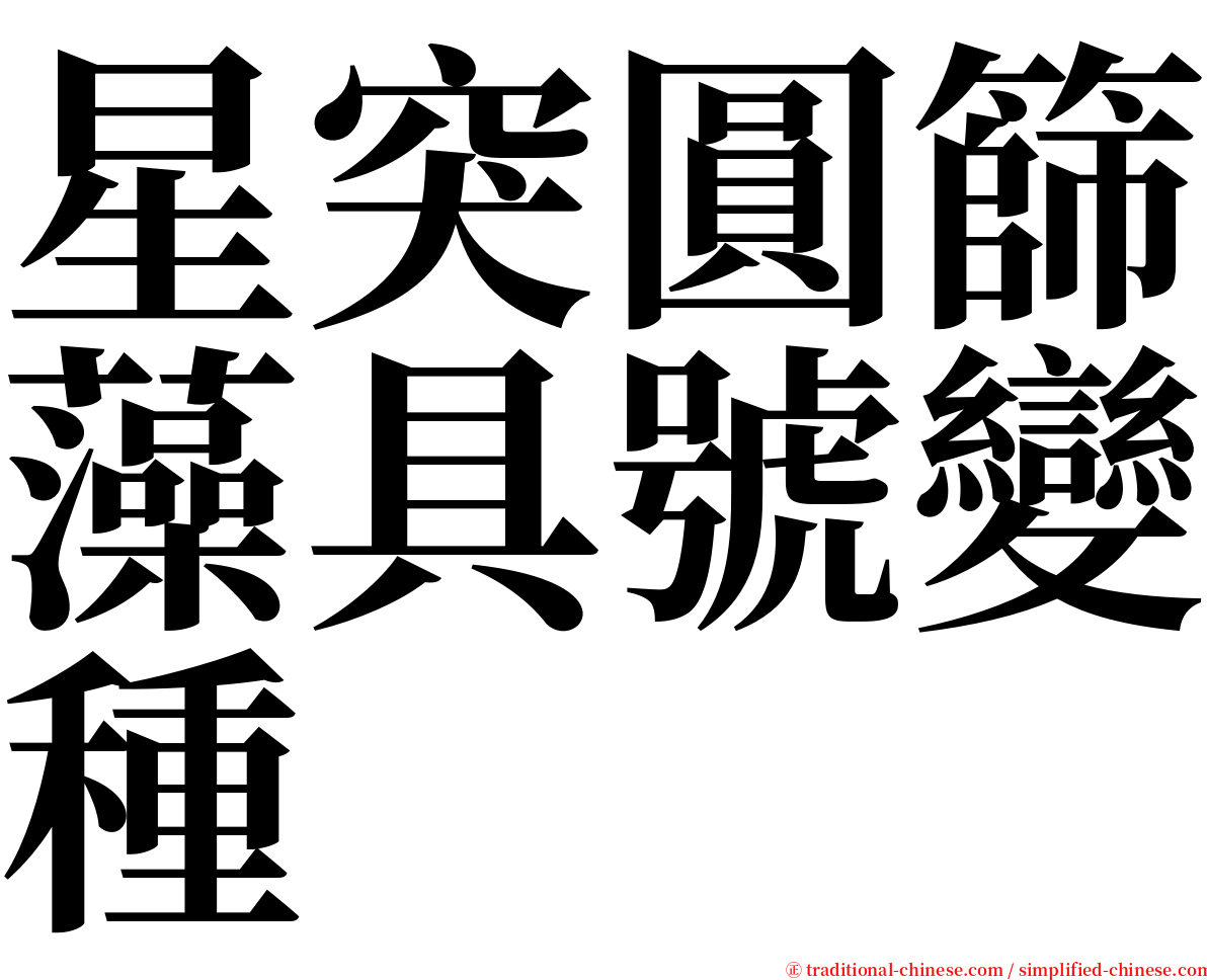 星突圓篩藻具號變種 serif font
