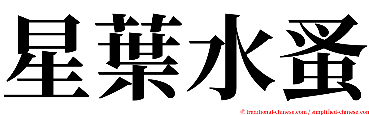 星葉水蚤 serif font