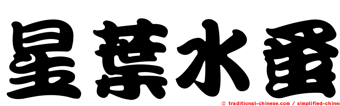 星葉水蚤
