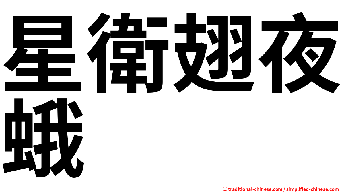 星衛翅夜蛾