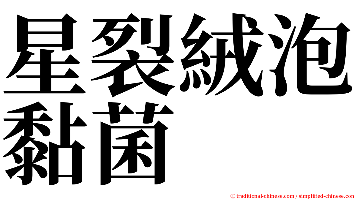 星裂絨泡黏菌 serif font
