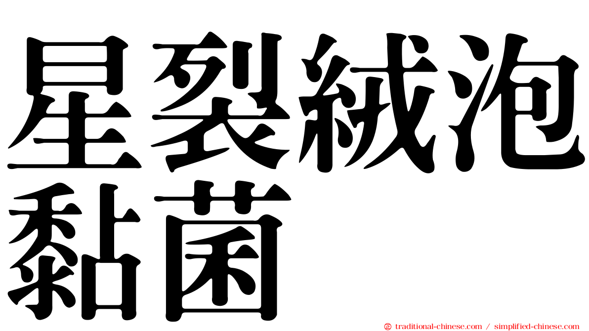 星裂絨泡黏菌