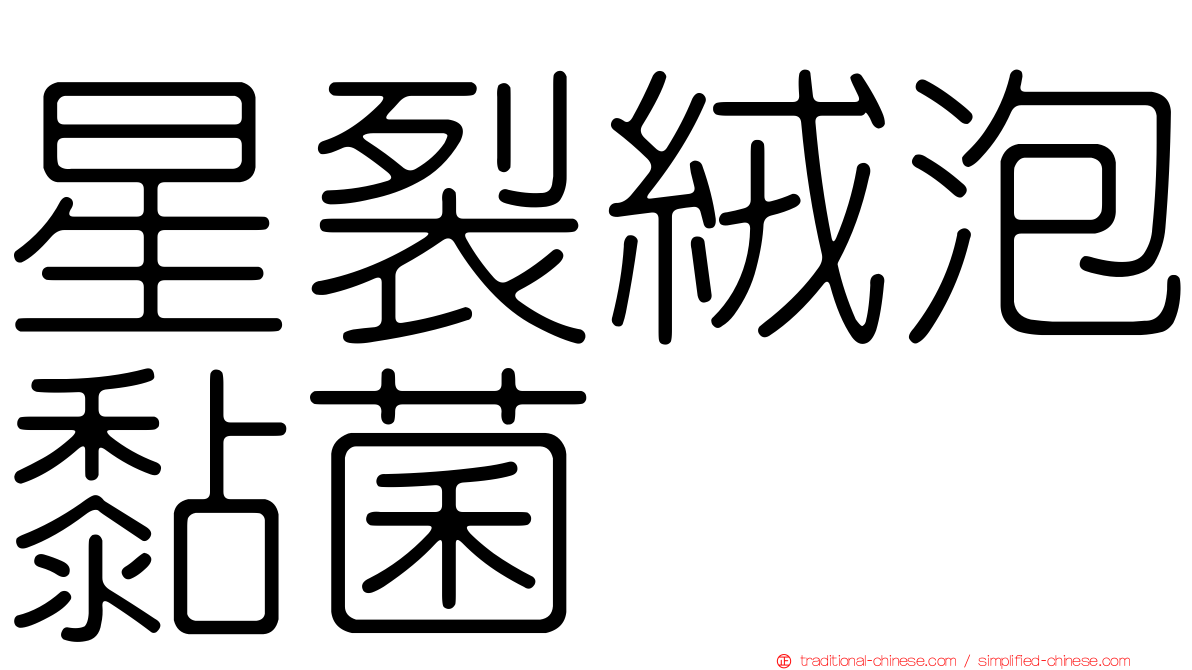 星裂絨泡黏菌