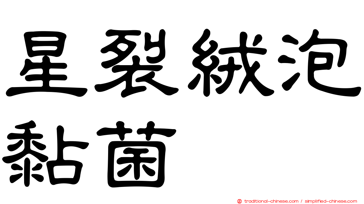 星裂絨泡黏菌
