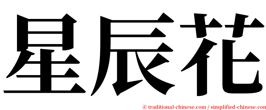 星辰花 serif font