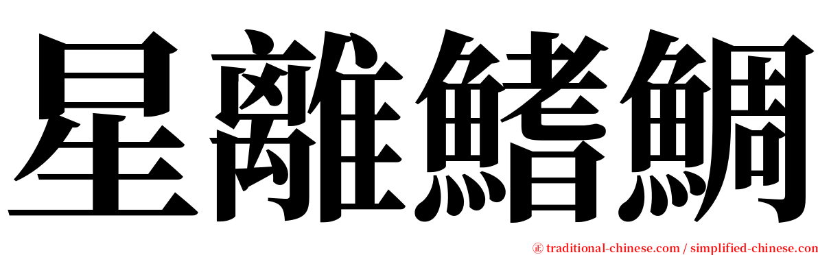 星離鰭鯛 serif font