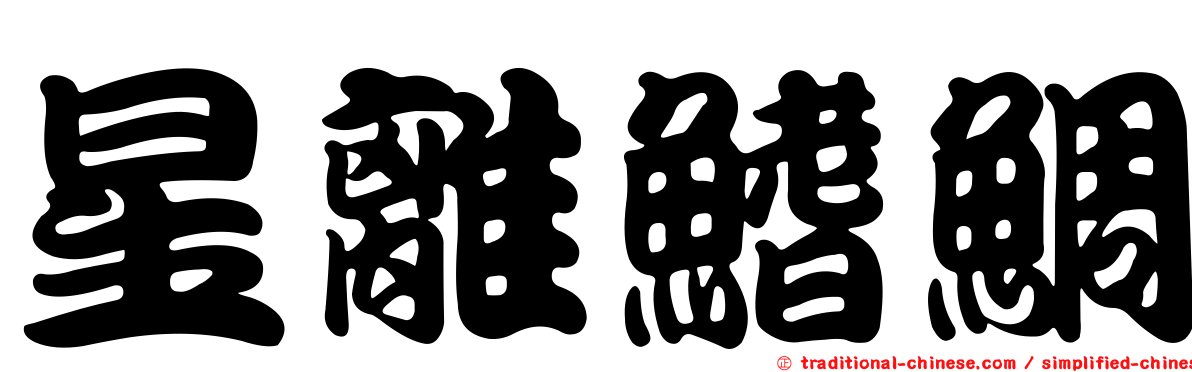 星離鰭鯛
