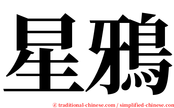 星鴉 serif font