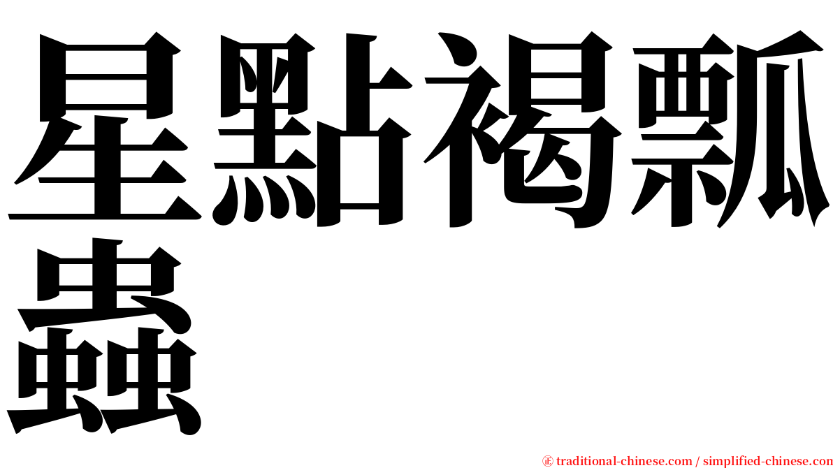 星點褐瓢蟲 serif font