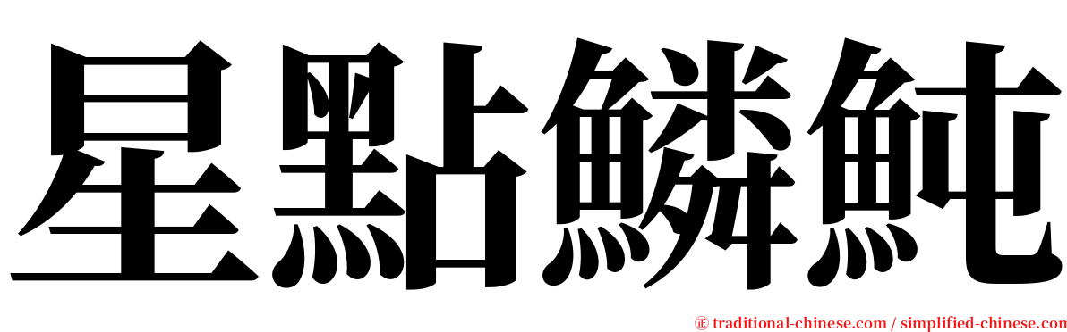 星點鱗魨 serif font