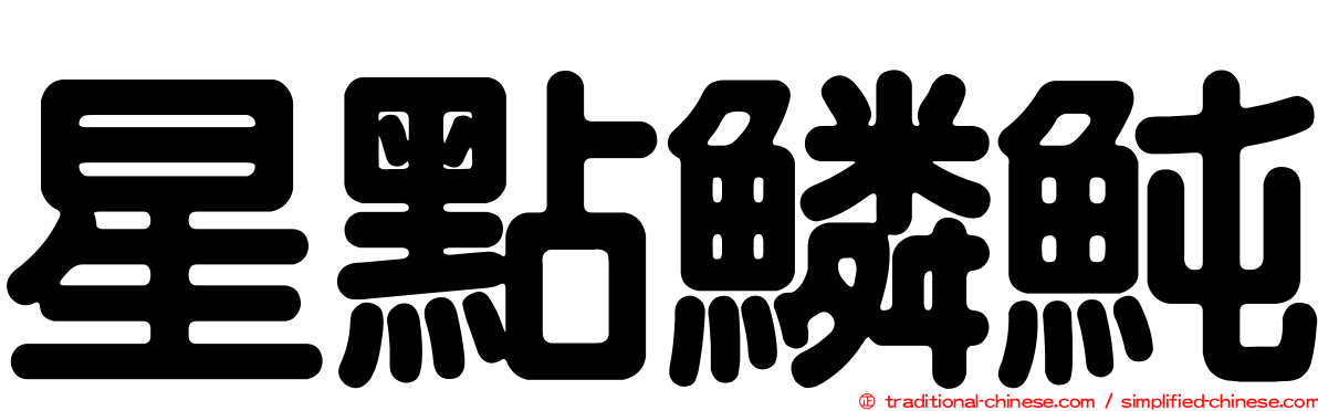 星點鱗魨