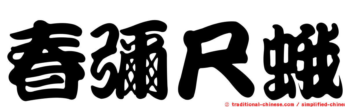 春彌尺蛾