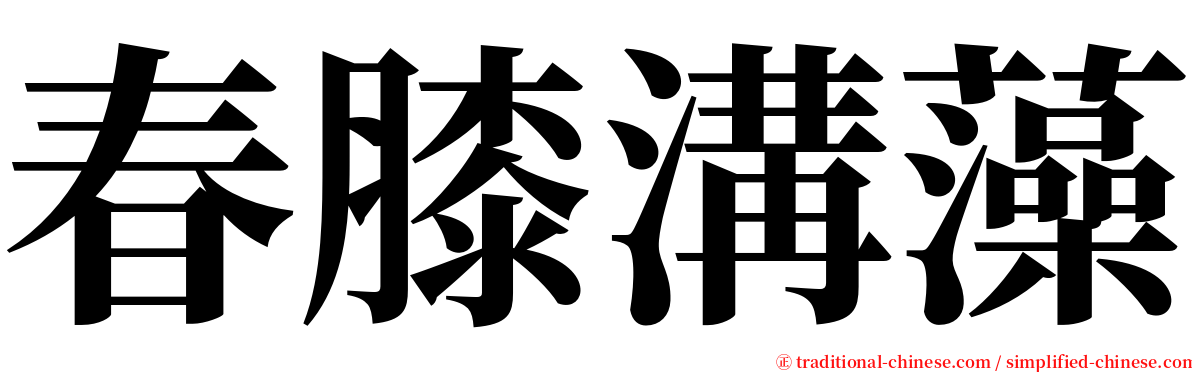 春膝溝藻 serif font