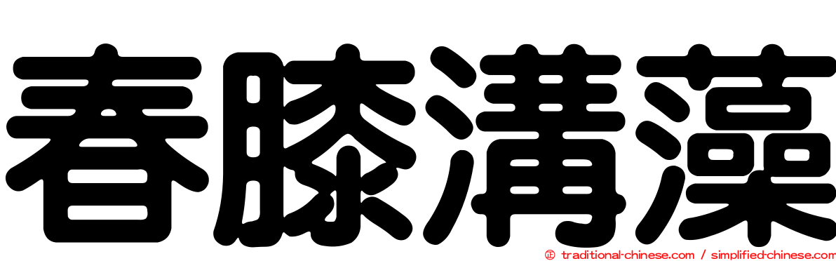 春膝溝藻