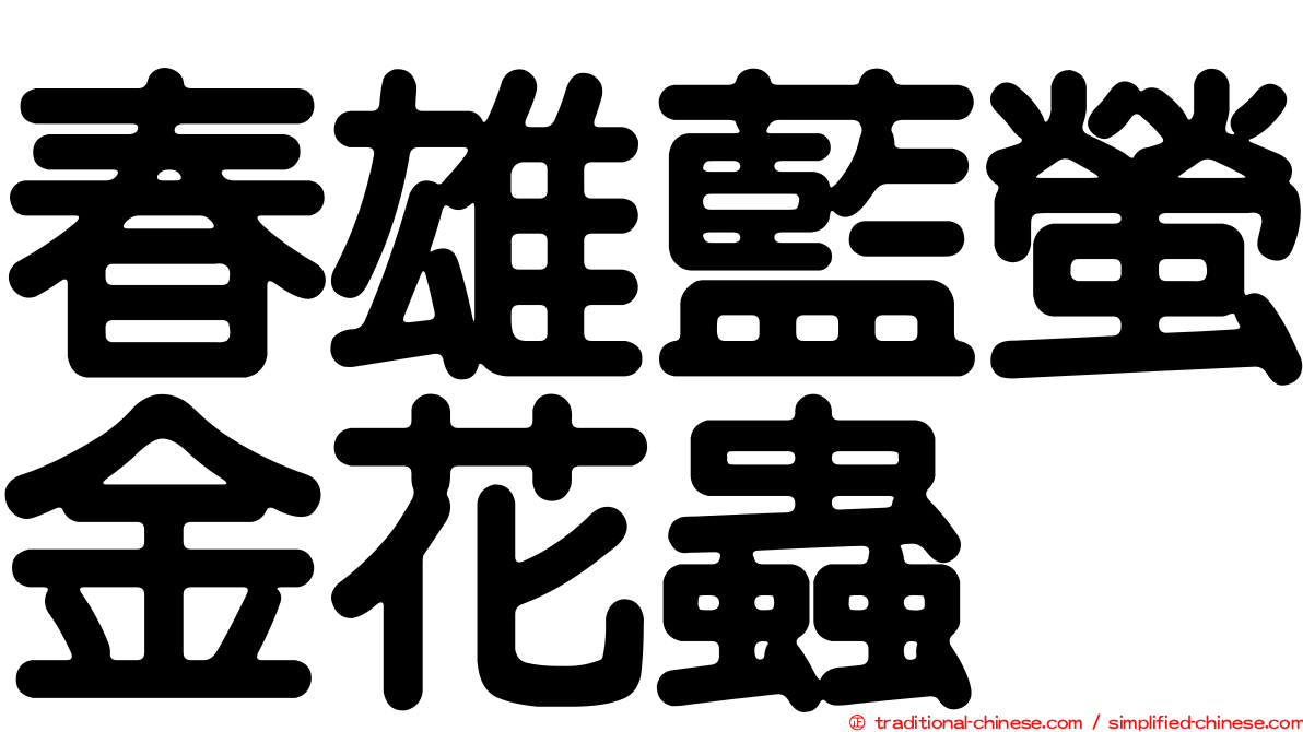 春雄藍螢金花蟲