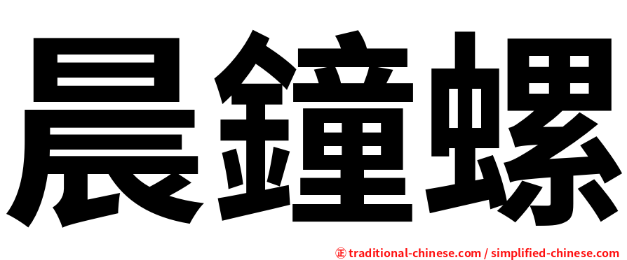 晨鐘螺